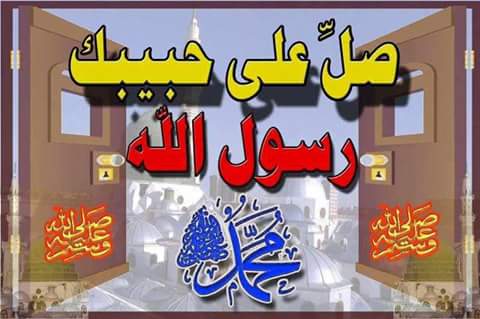 حبيب
