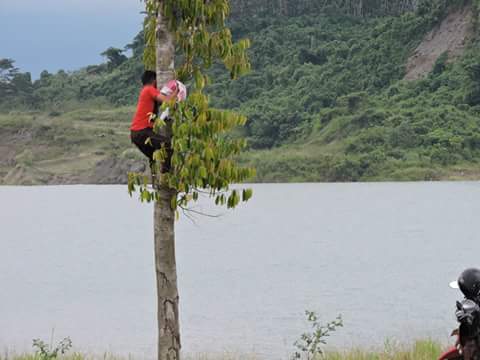 paman stan! tweet media