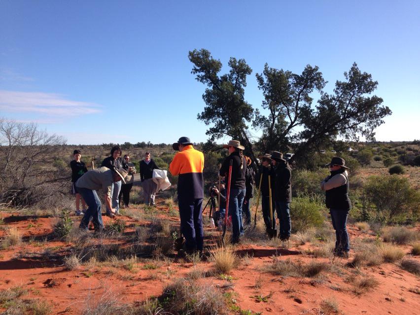 Great turn out this morning to keep #roxbydowns a #buffelgrass free zone. Go #buffelbusters