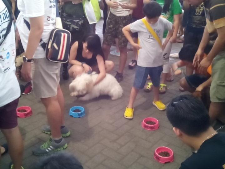 HappyDog_ID's tweet photo. Kategori selanjutnya: medium breed. Yuk merapat! #DogsDayOut2015 http://t.co/bKjrLnrS3r