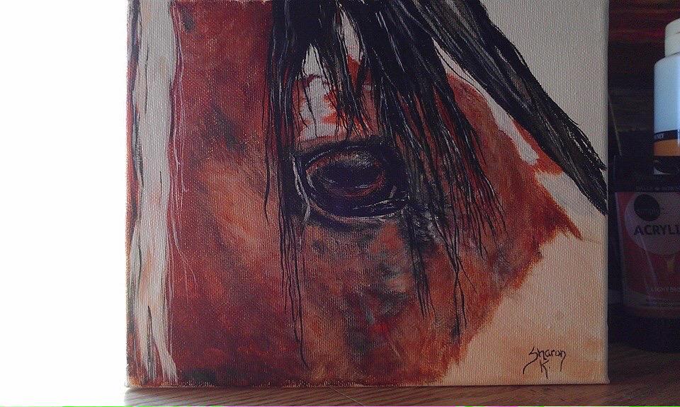 MeloKei234's tweet photo. @mikemckellutah ...PLEASE, PLEASE, PLEASE STOP #SJR007! SAVE AMERICAS WILD MUSTANGS & BURROS! http://t.co/F5i34O5lFY