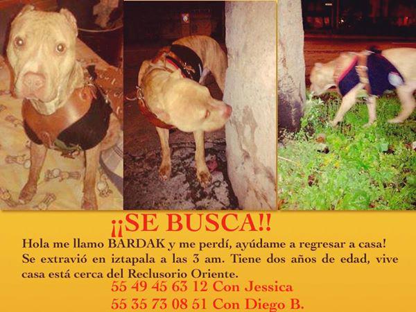 Ana Vivar tweet media