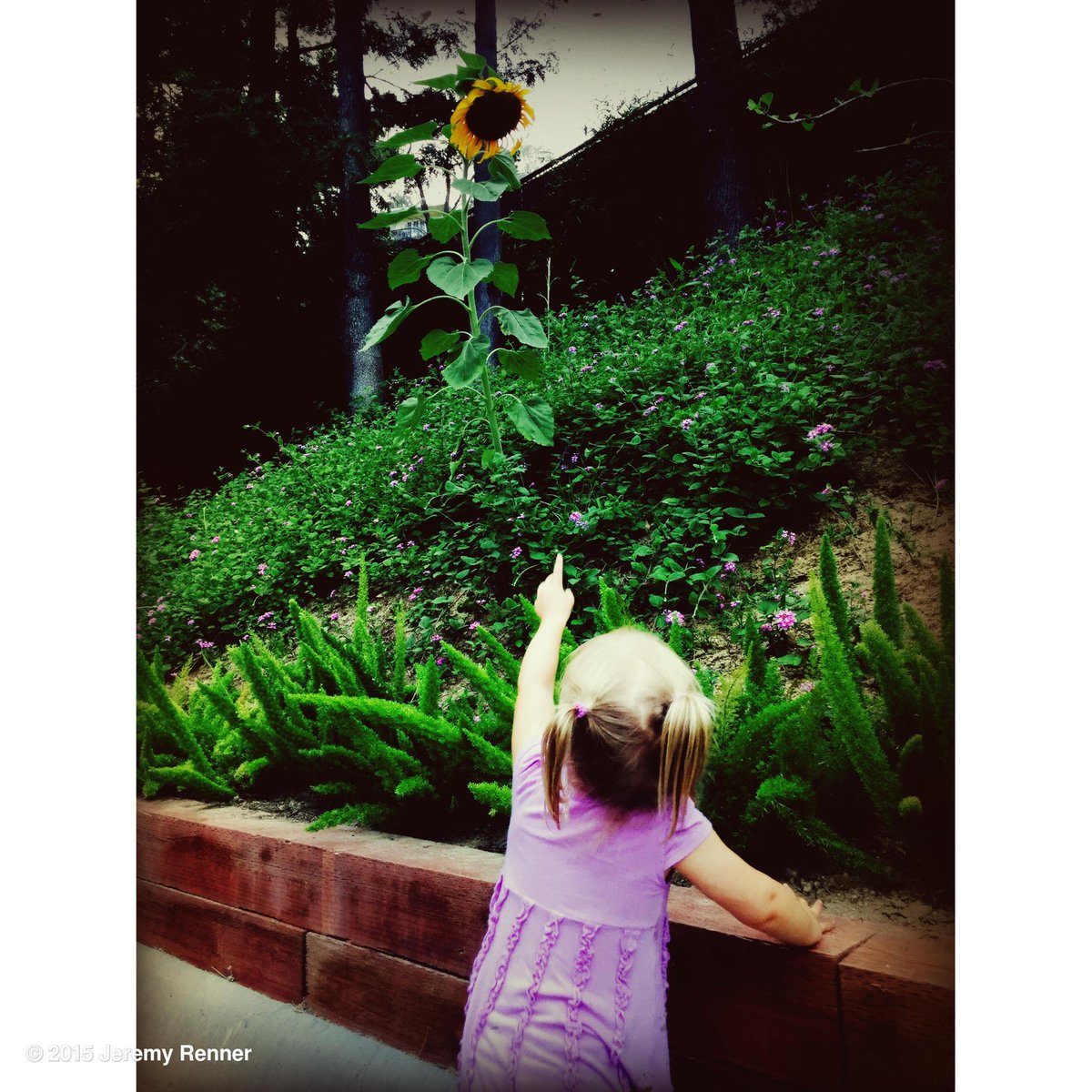 JeremyRenner's tweet photo. The main reason my heart swells and occasionally stops❤️ thx for the well wishes #fathersday #daddylove #luckiestman http://t.co/WH1uenpGpv