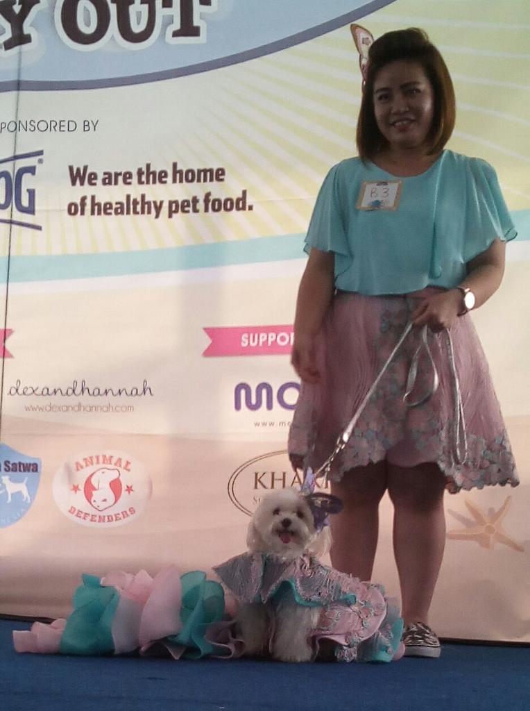 HappyDog_ID's tweet photo. Dog Fashion Show, all the handsome &amp; cutest dogs! #DogsDayOut2015 http://t.co/BP8X3w0QRO