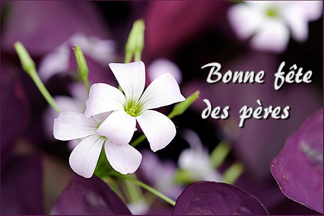 N'oubliez pas la #FeteDesPeres ! ow.ly/OqpC7