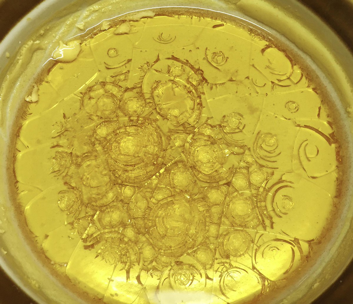 My partner's mother made a creme caramel. Nice dessert and it came with craquelure in the caramelized sugar.