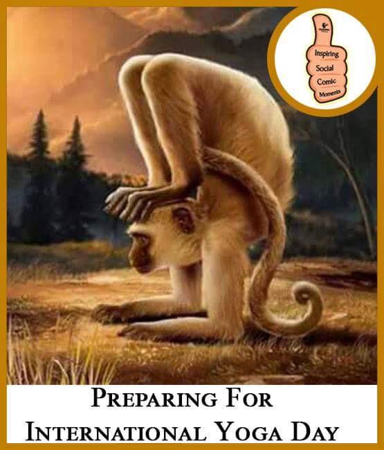 rajeshsharma31's tweet image. Yoga se hi Hoga