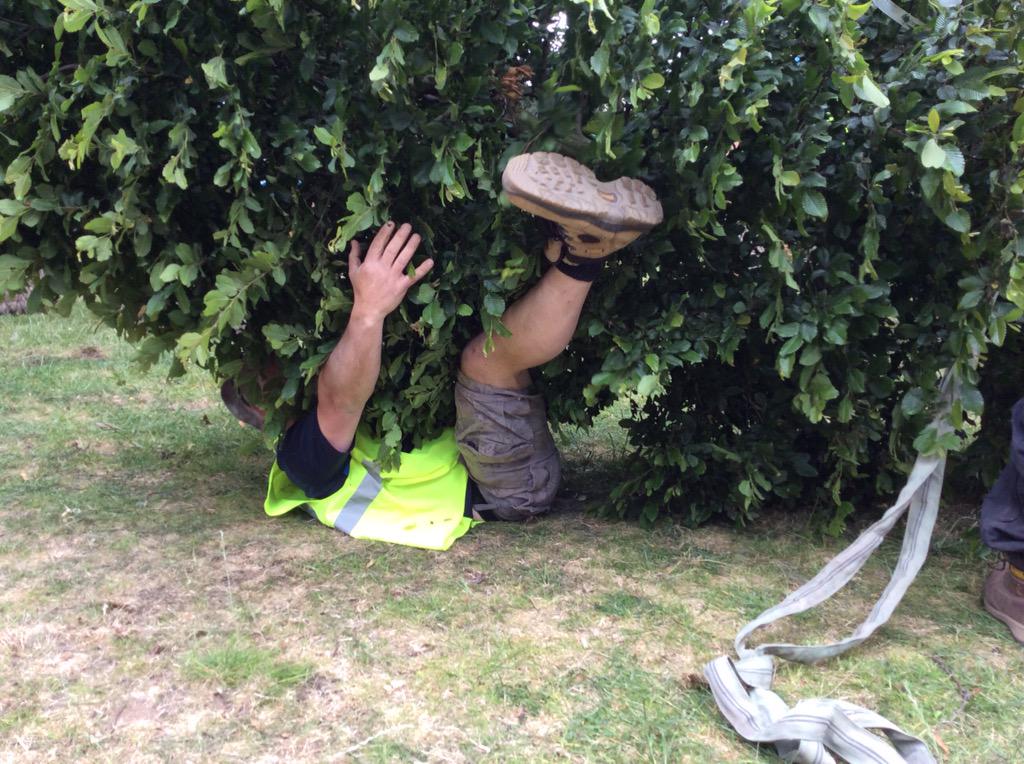 QEFPressOfficer's tweet photo. More work on the @QEF1 garden at #RHSHampton - not quite sure what's going on here. http://t.co/60aqIGZFpH