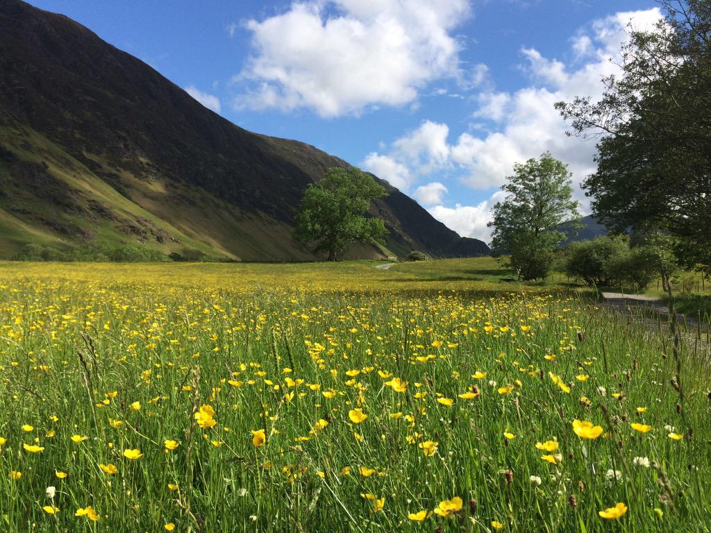 FoxHoweSquirrel's tweet photo. Worth waiting for yesterday ..Newlands valley http://t.co/HdakGCYovJ