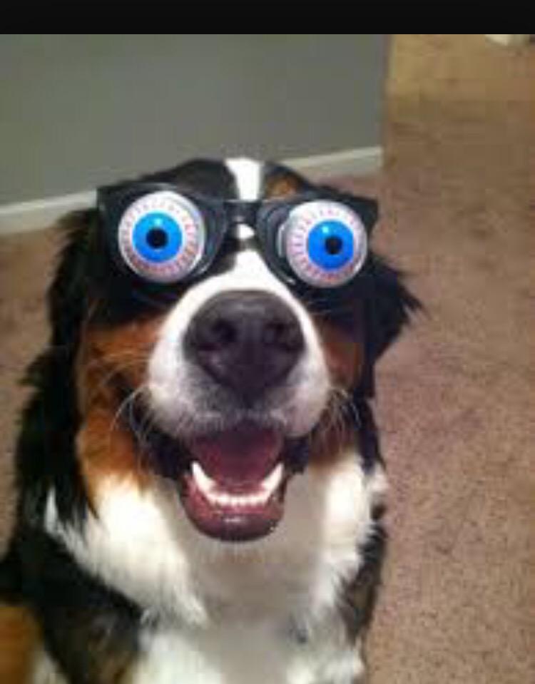 BuzzingDailyy's tweet photo. The booty had me like http://t.co/maCz1qZIYT