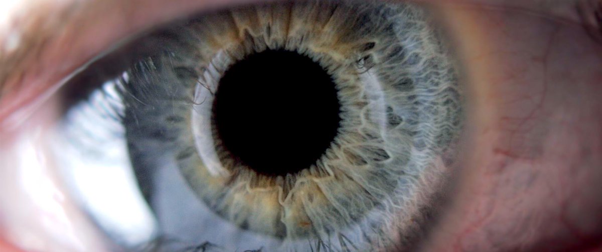 lesinrocks's tweet photo. “Moi, Internet” : et si le web prenait vie… http://t.co/uP2unPMGvL Le court-métrage qui va vous éveiller les neurones http://t.co/CFpnFqvggN