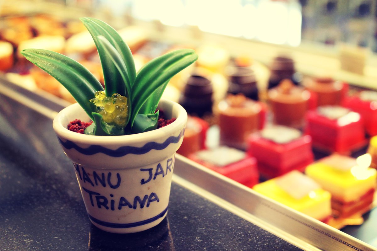 ManuJara_'s tweet photo. En nuestra Dulcería tienes la maceta de chocolate que llevamos a #SaboreaCooks #TDSGastro #Sevillahoy http://t.co/N1AMfph6iS