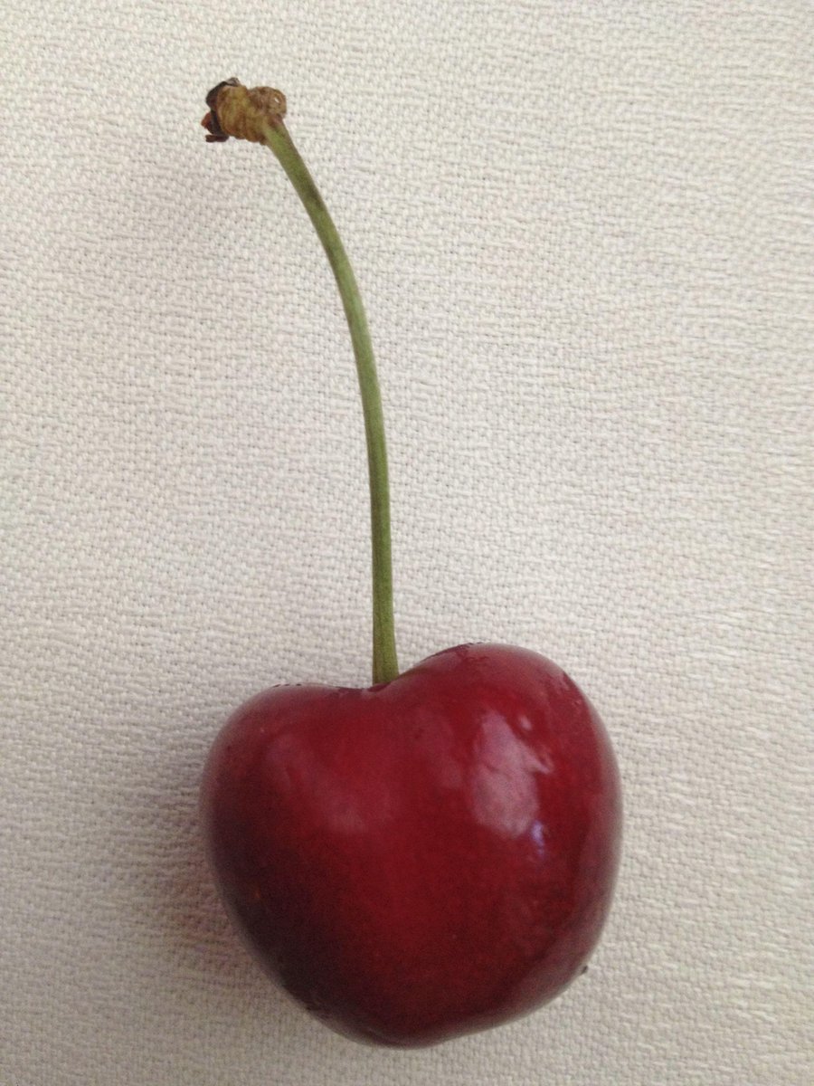NinoFranco1919's tweet photo. Summertime Cherries w NinoFranco #Prosecco
The fruit of paradise 🍒 #ciliegie #duroni #tempodiciliegie
#Wine http://t.co/QPxaEBnoZI