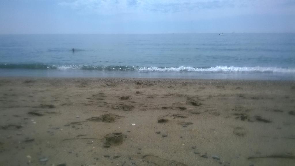 CeliaMartinezD's tweet photo. Ya era hora !! 😎👌💕🌊⚡  @rosanita_10 #PuertoBanus http://t.co/1IVMU93TXi