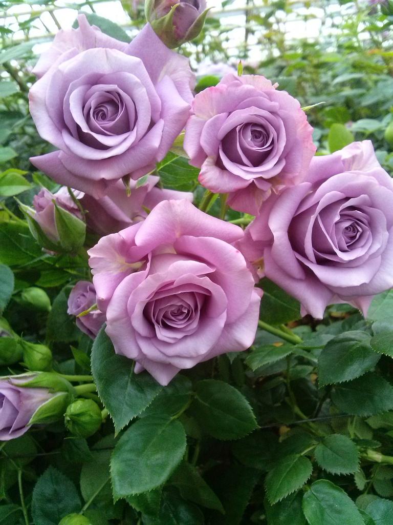 d alderden (@dalderden) on Twitter photo 
