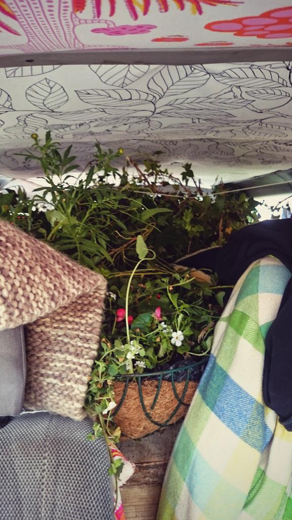 Wren_and_Bee's tweet photo. Full to the brim on our way to Glasto! #Glasto2015 #spinneyhollow http://t.co/QI3pzrtiDp