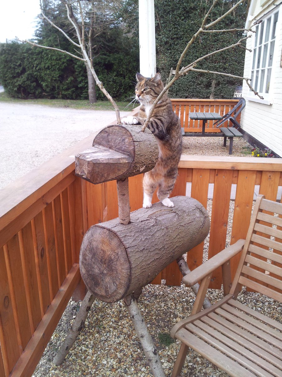 Cloudweddings's tweet photo. Any offers for a 6' deer, few warts! all proceeds to #MND .I am based in @NewForest_UK  #hampshire appreciate any RT http://t.co/oWl5jKQ1vL