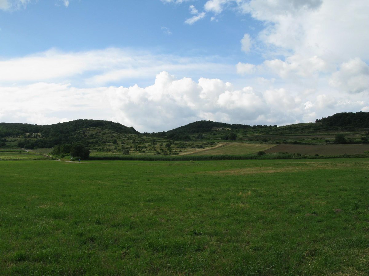 tomas novak tweet media