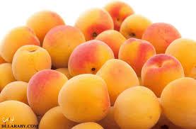 AnanasFruits's tweet photo. لدينا مشمش #غنى_بفيتامين A فواكهنا مختارة بعنائة فائقة #شركة_اناناس_فروتس_العالمية 25334800_66506156 http://t.co/6FirOtIUim