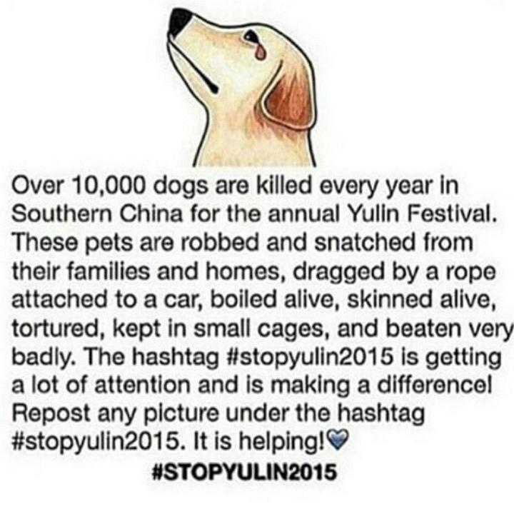 #StopYulin2015