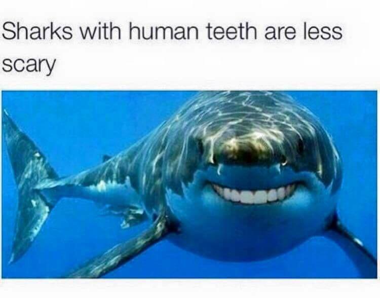 CapOrangebeard's tweet photo. #Sharknado3 http://t.co/kkLZywBNtA