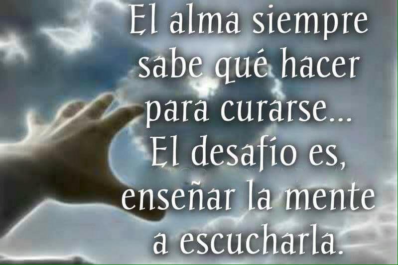 PROYECTOHOY's tweet image. 