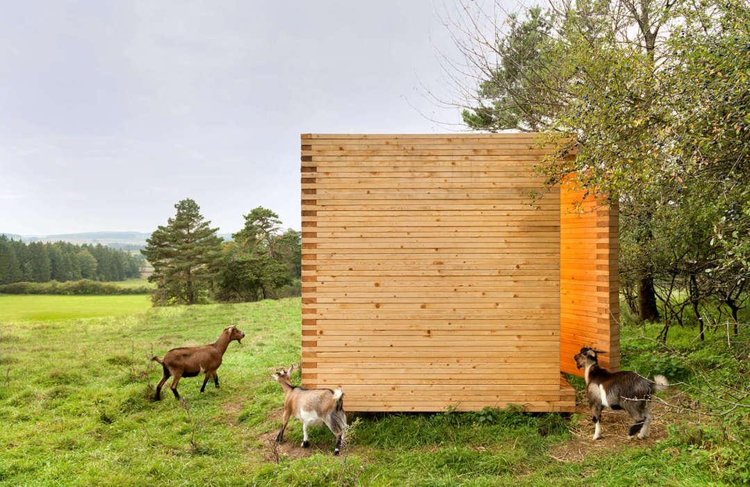 A little known fact; goats love modern architecture...look what these 3 guys commissioned! #Timber #architecture