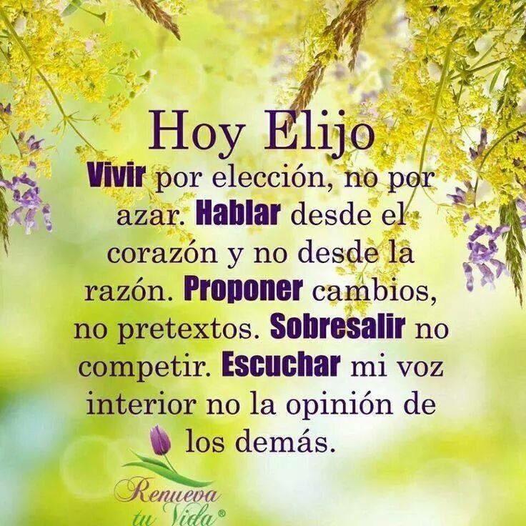 PROYECTOHOY's tweet image. 