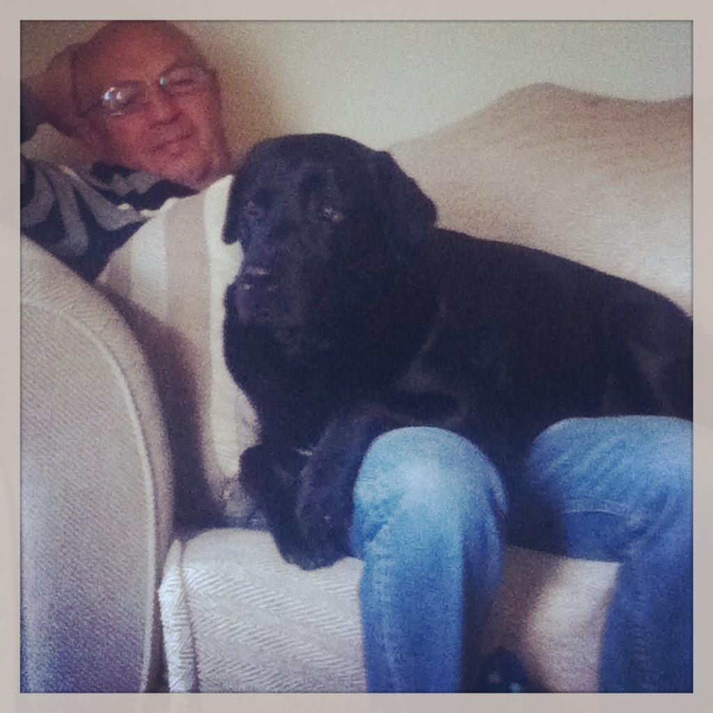 carlymogs's tweet photo. Happy Father's Day to my amazing wonderful papa mall thanks for everything dad I love u x http://t.co/MSOnAg52La