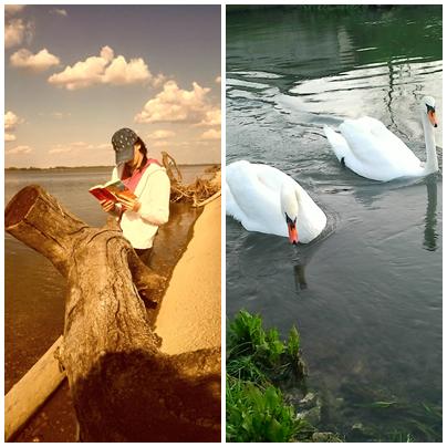 TinaCvjetna's tweet image. Dan je stvoren za uživanje u dobroj knjizi...
#books #bookslover #readinginnature