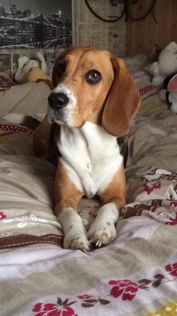 Mom's back from Canada. I am happy now