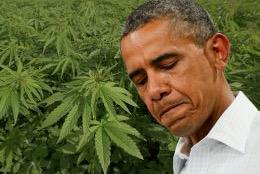 BarackHOganja's tweet photo. When somebody nigga lips the blunt http://t.co/7W3WQDOikP