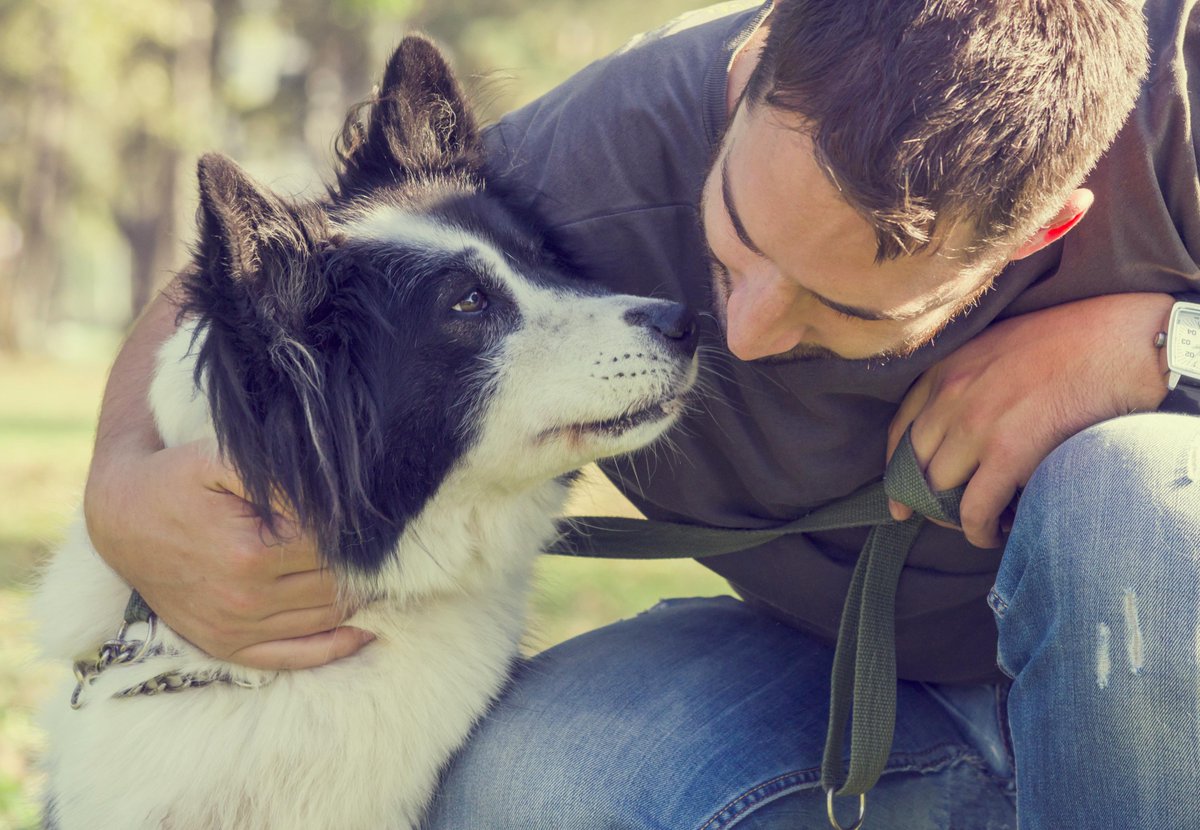 bullchartz's tweet photo. Happy #FathersDay to all the doggy Dads out there! http://t.co/ad5ue3bTxL