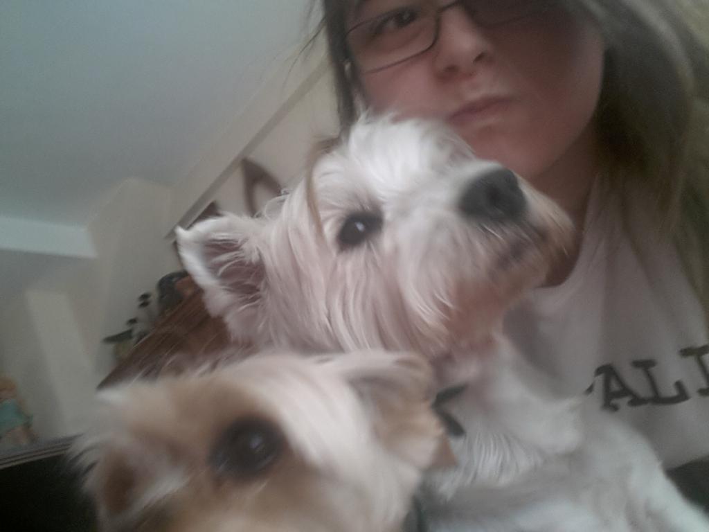 ana_calvente's tweet image. #YulinDogMeatFestival #YulinFestival #YulinGetDogsOffTheMenu