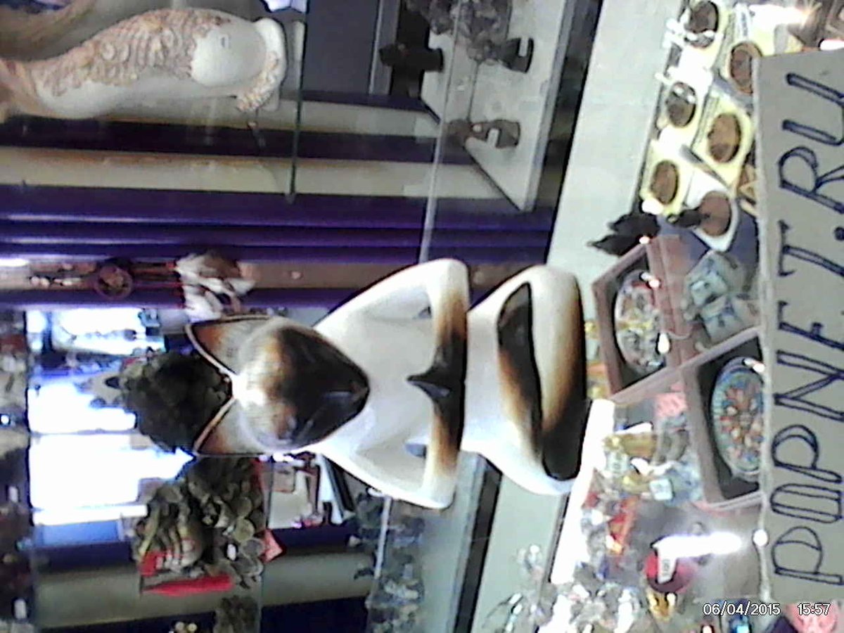 Что за кошка кто знает?