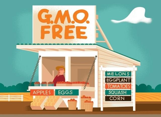 GoWellPath's tweet image. Is there any scientific evidence that #GMOs are actually bad for us? #NYTimes investigates: nyti.ms/1Gfpy0T