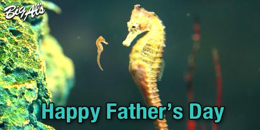 BigAlsAquarium's tweet image. Happy Father's Day from Big Al's!