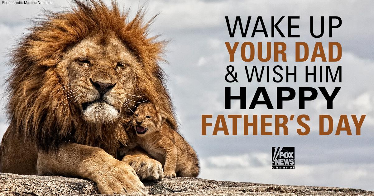 FoxNews's tweet image. Happy Father's Day!