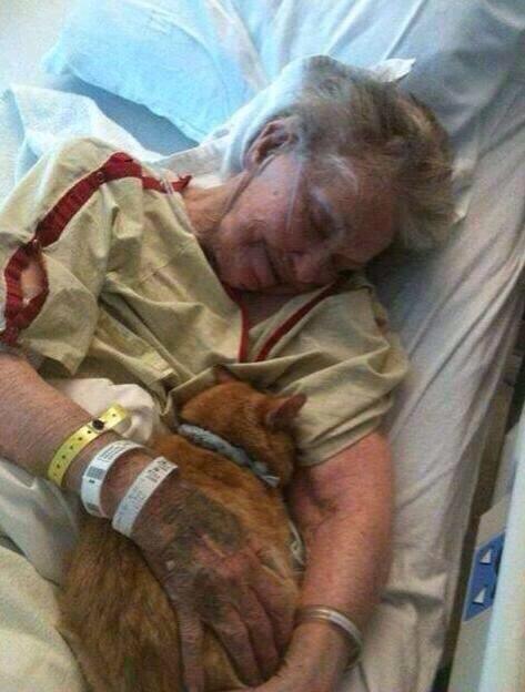 CuteAnimalsBaby's tweet photo. The Hospital allowed this lady's cat to visit her during her last day on earth http://t.co/v9COwpjGVq