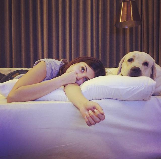 Embedded image permalink