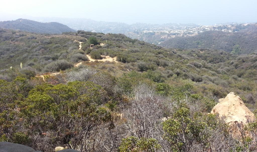 griz1's tweet image. View from/of the Eye of #SkullRock! @SantaMonicaMtns #Topanga @CAStateParks @GoParks