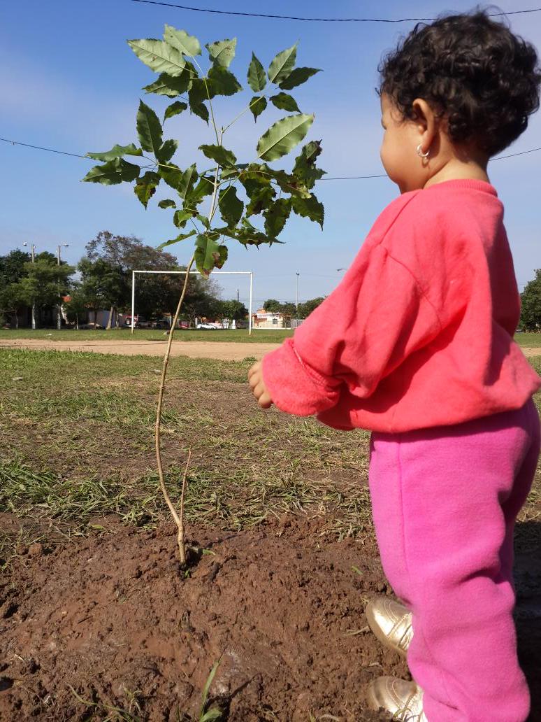 alcidesru's tweet photo. @bluemonkeypops soy feliz padre de un árbol. Les presento a mi 'Tajy'ra 😊. No pedí permiso en la plaza http://t.co/55timV0jm8