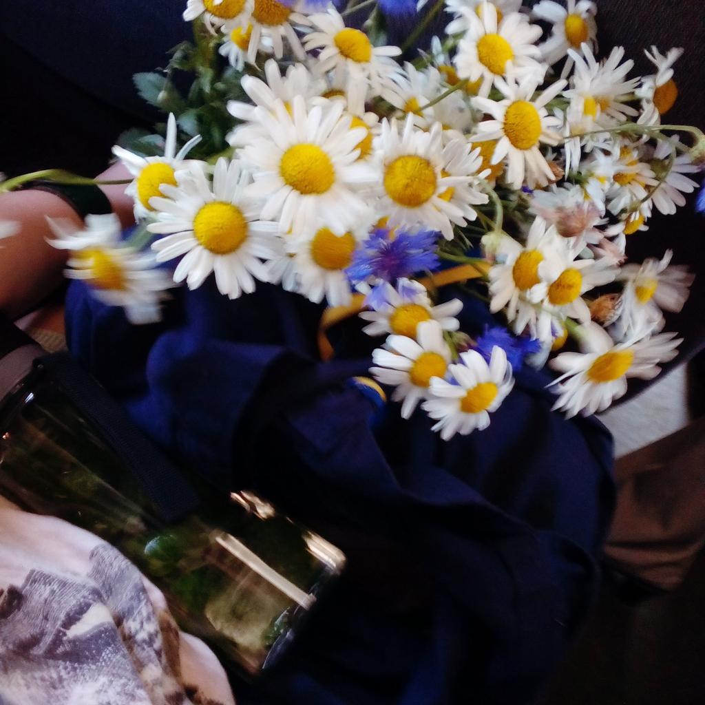 sashazlatova36's tweet image. #яїдудодому
И снова меня окружают ромашки😍😀