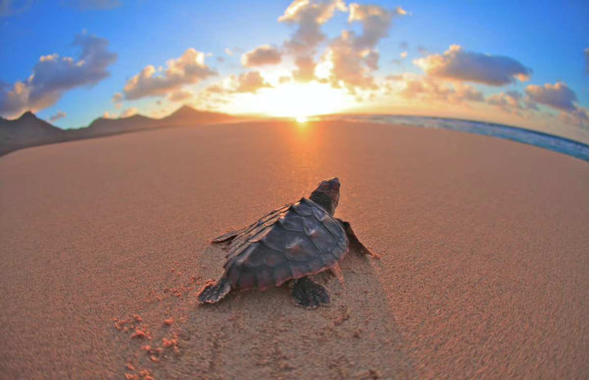 MalditaNerea's tweet photo. Rápido no significa mejor. Cada persona, un ritmo. Cada ritmo, un camino. Cada camino, una respuesta. #todoestaenti. http://t.co/OhUSe3pG3P