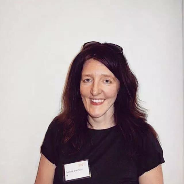 3DSDublin's tweet photo. .@elderhomeshare brought her idea to #3DSGravity. "Mutually beneficial housing for youth &amp; elders." #dublin #startups http://t.co/ZH54ZfvilD
