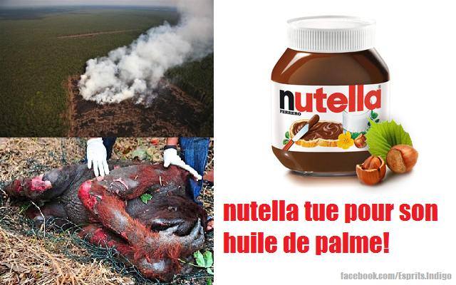monde_biodi's tweet photo. Tiens ... Le #NutellaTueLesOrangsOutans revient en TT 
Tweetez dessus qu'on en parle un peu http://t.co/ikon0AfkDu