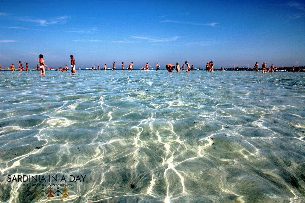 SardiniaInaDay's tweet photo. Quí é iniziata da un pó ma...
Buona #estate2015 a Tutti
L'#OttoAgosto arriva in un Attimo http://t.co/N9nHeJdAmk http://t.co/jLx9rg6KZQ
