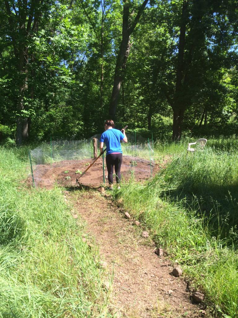 LoganDop's tweet photo. Garden for the cabin ✔️ http://t.co/Ev9fOK06mH