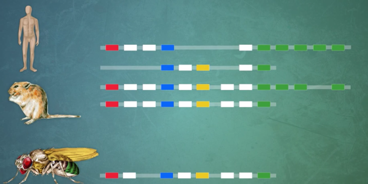 What if your brain was not in your head? What if it was located at some other place other… geekpause.com/science/why-ou…