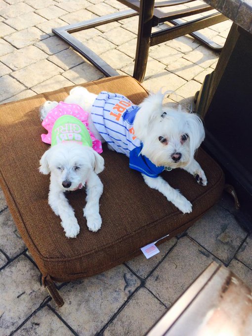 Happy Father's Day to the most wonderful daddy @COLBYJANSENXXX http://t.co/VMJ7aEcCXV<a href="/tag/torontopride"class="tags"><span>#torontopride</span></a><a href="/tag/hubbylove"class="tags"><span>#hubbylove</span></a>